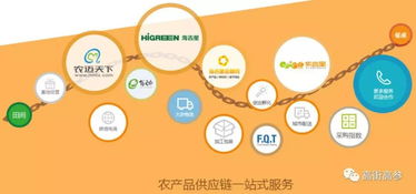 生鮮B2B旺火，為何“燒”不掉農(nóng)貿(mào)市場？——網(wǎng)絡信息技術(shù)服務下的共生邏輯