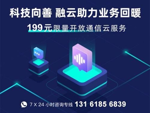 互聯(lián)網(wǎng)通信云PaaS選型開發(fā)者必備指南 網(wǎng)絡與信息技術(shù)服務的考量